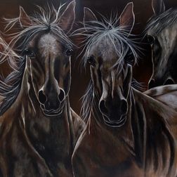 The ghost horses  2012  80cm x 120cm  Not for sale